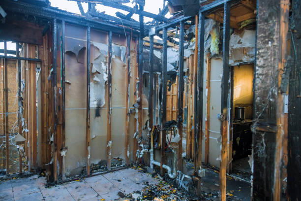 Professional Fire Damage Removal technician working in Bronte, TX